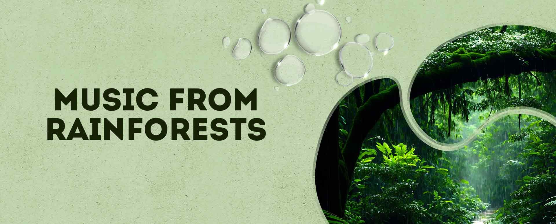 Music from rainforests
