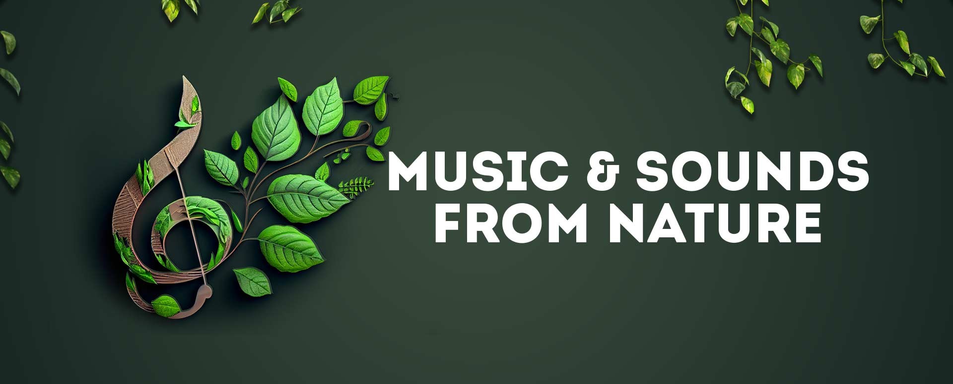 Music and Sounds from Nature