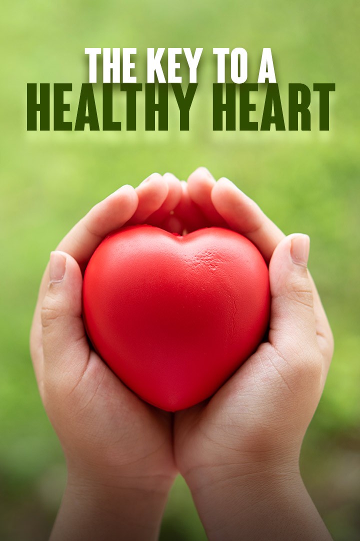 The Key To A Healthy Heart