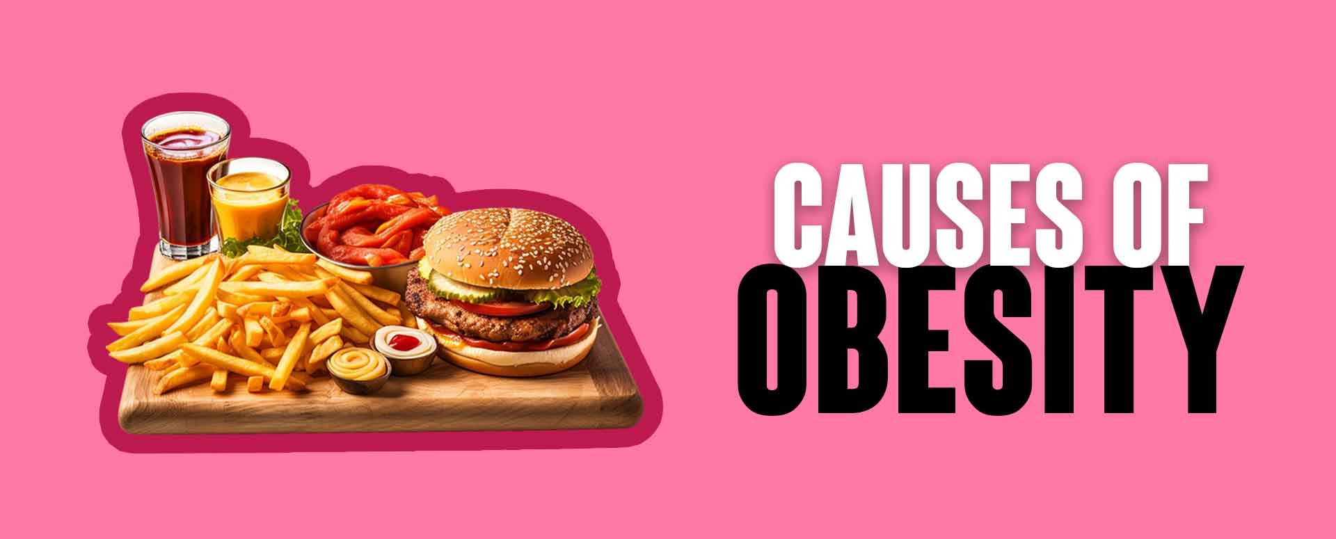 Causes of Obesity