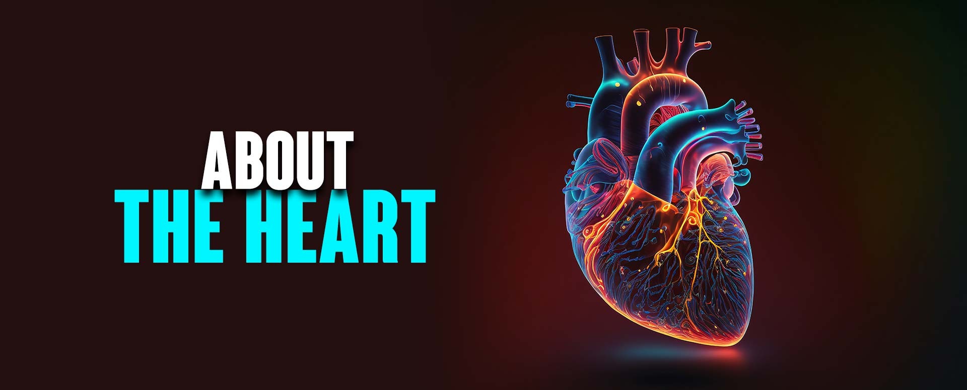 About the heart with Dr. Abhishek Bhargav