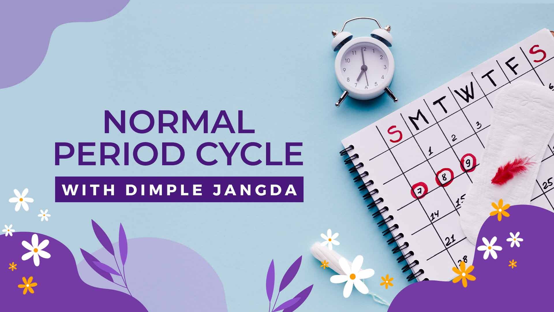Normal Period Cycle