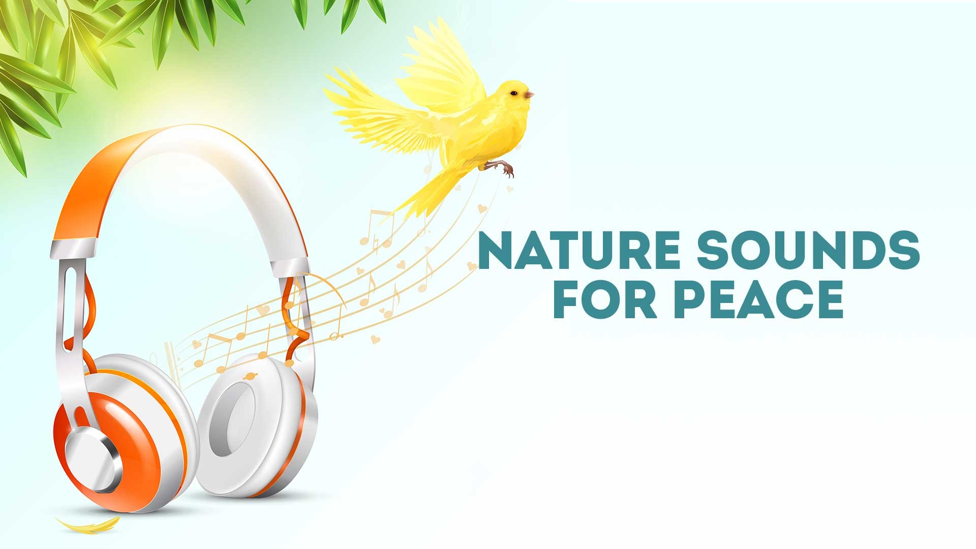 Nature Sounds For Peace
