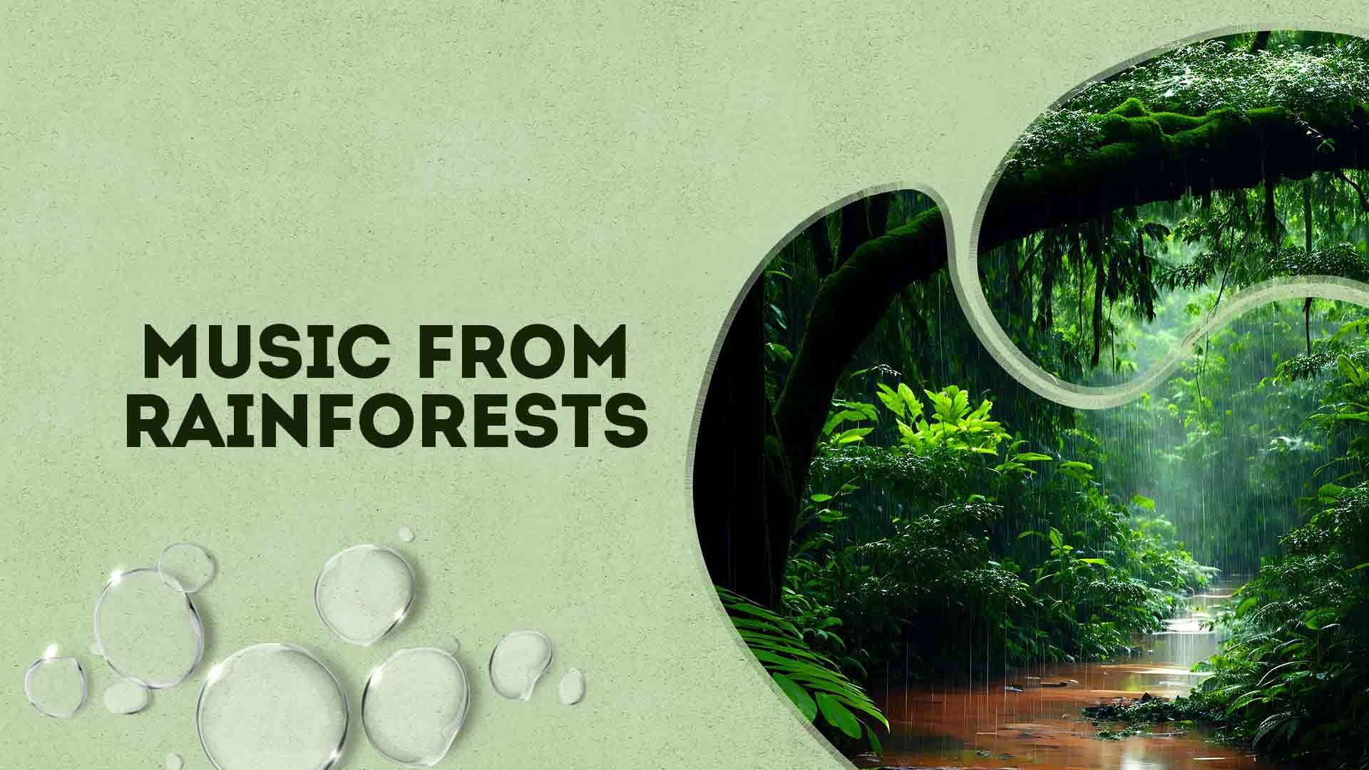 Music From Rainforests