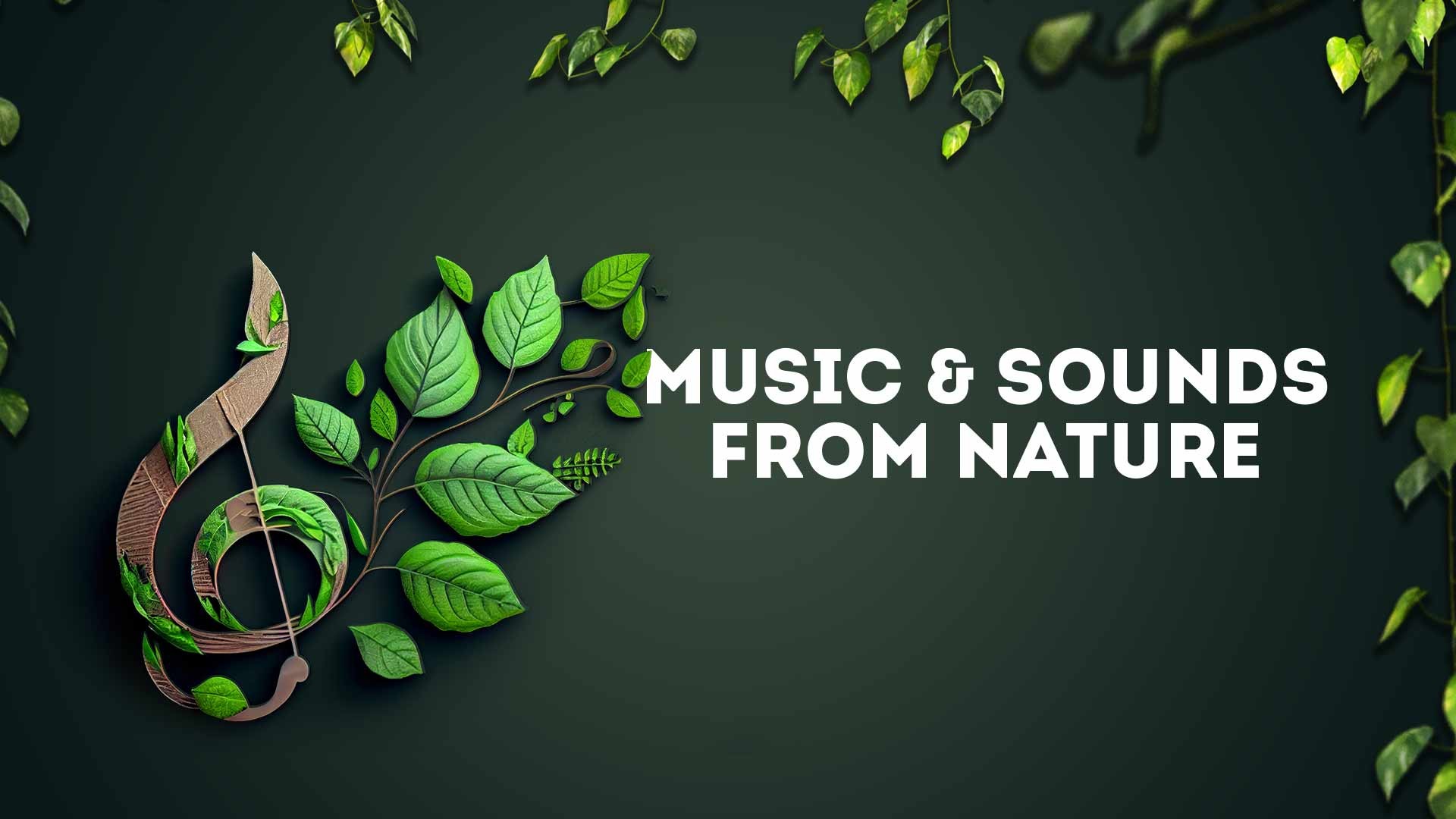Music & Sounds From Nature