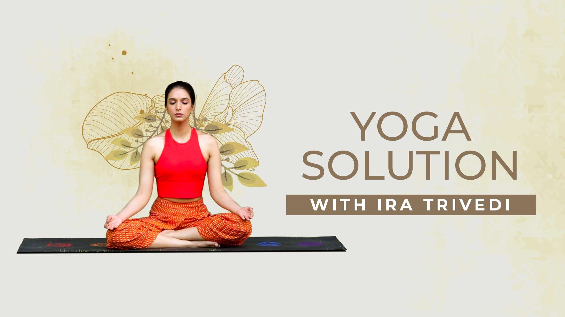 Session 5 - Full Body