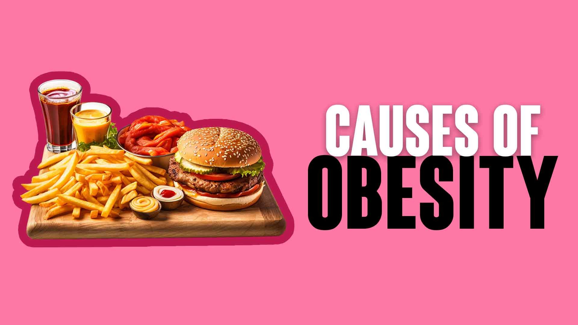 Causes Of Obesity